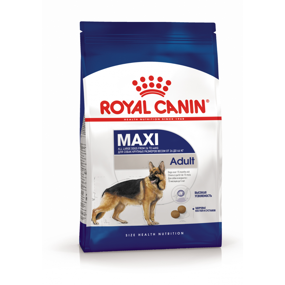 Royal Canin Maxi Adult Böyük cins yetkin it üçün quru yem,15 aydan