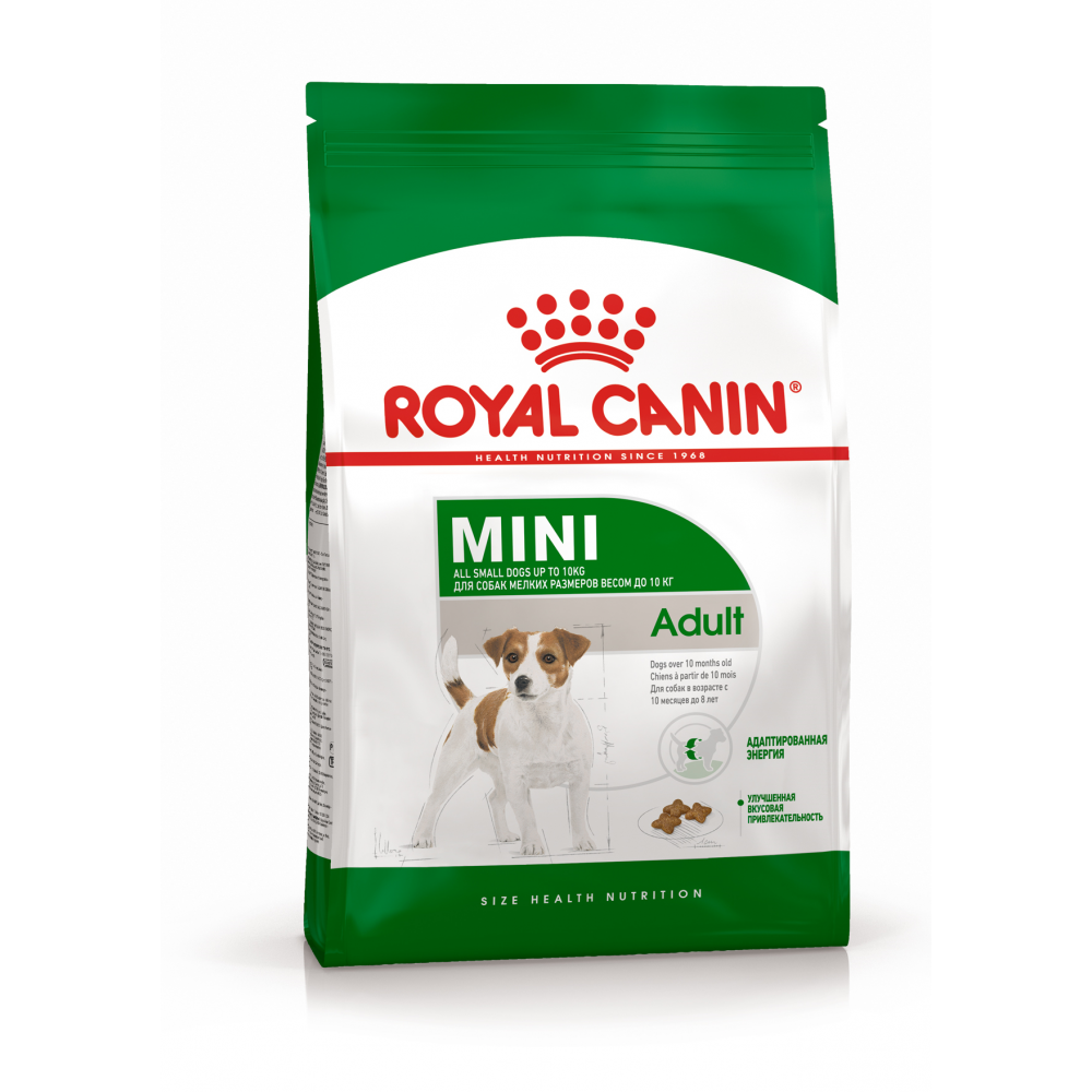 Royal Canin Mini Adult Kiçik cins yetkin it üçün quru yem, 10 aydan