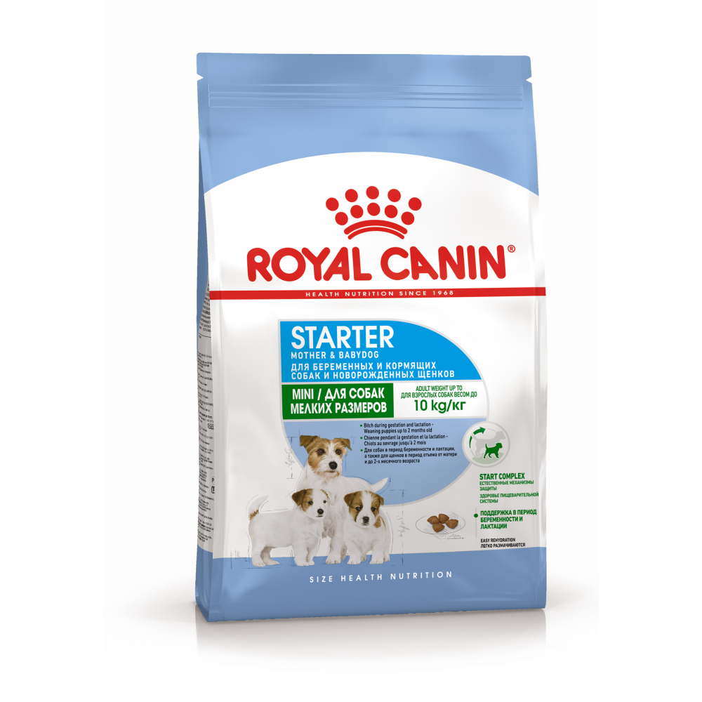 Royal Canin Mini Starter Mother & Babydog Kiçik cins hamilə və əmizdirən it və bala it üçün quru yem