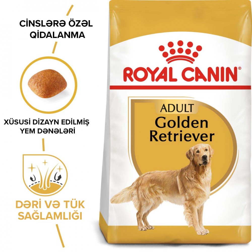 Royal Canin Golden Retriever Adult Qızılı retriver yetkin it üçün quru yem