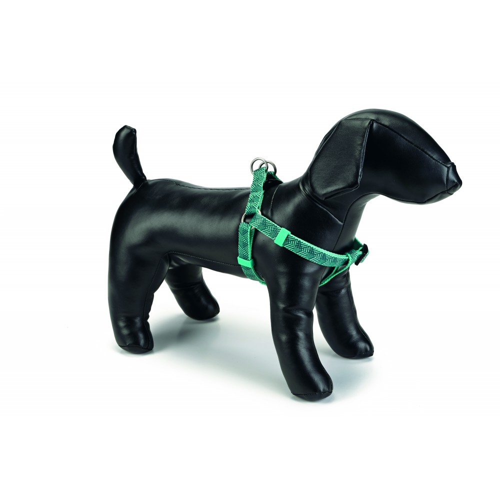 Beeztees Geo Нейлоновая шлейка для собак, темно-зеленая