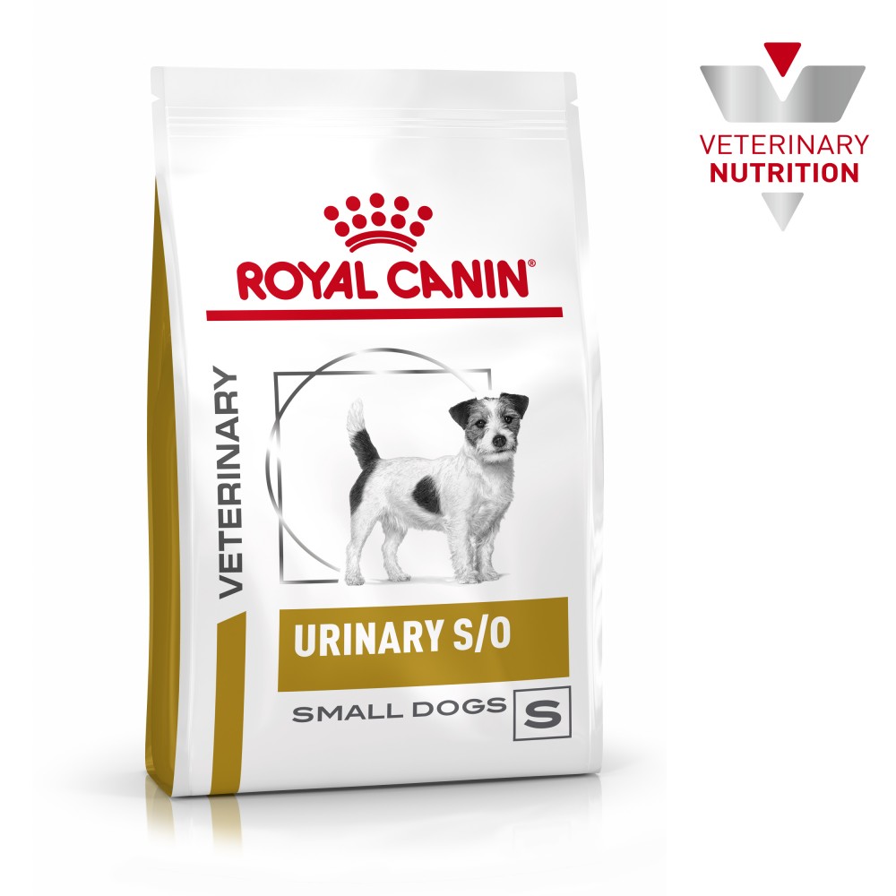 Royal canin neutered dog